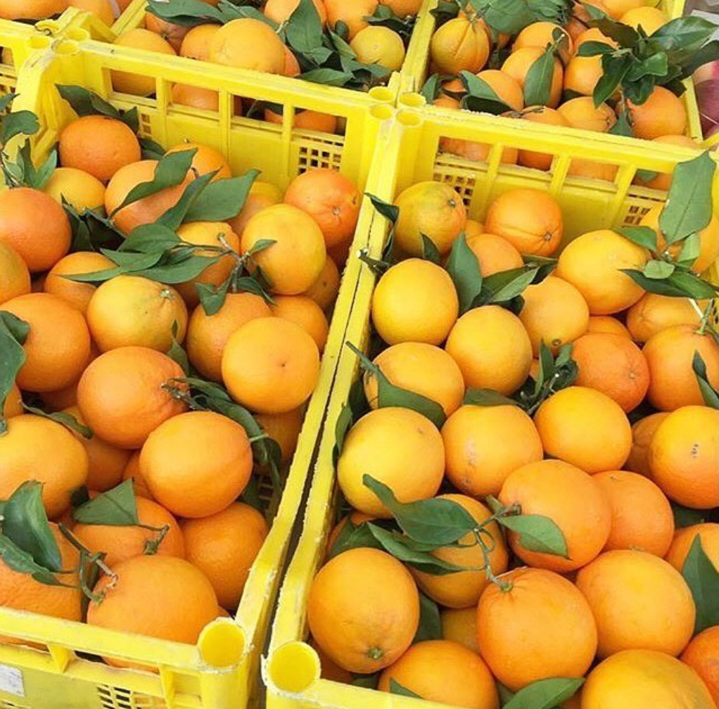 oranges dans caisse en plastique